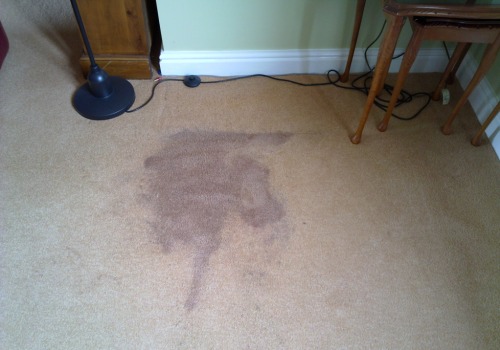 Why Do Old Carpet Stains Keep Coming Back? - A Comprehensive Guide