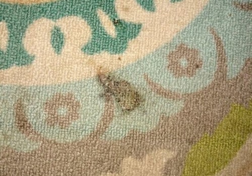 How to Soften Carpet and Remove Hard Water Stains Easily