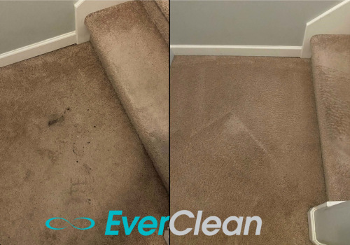 Eliminating Urine Stains from Carpet with Hydrogen Peroxide